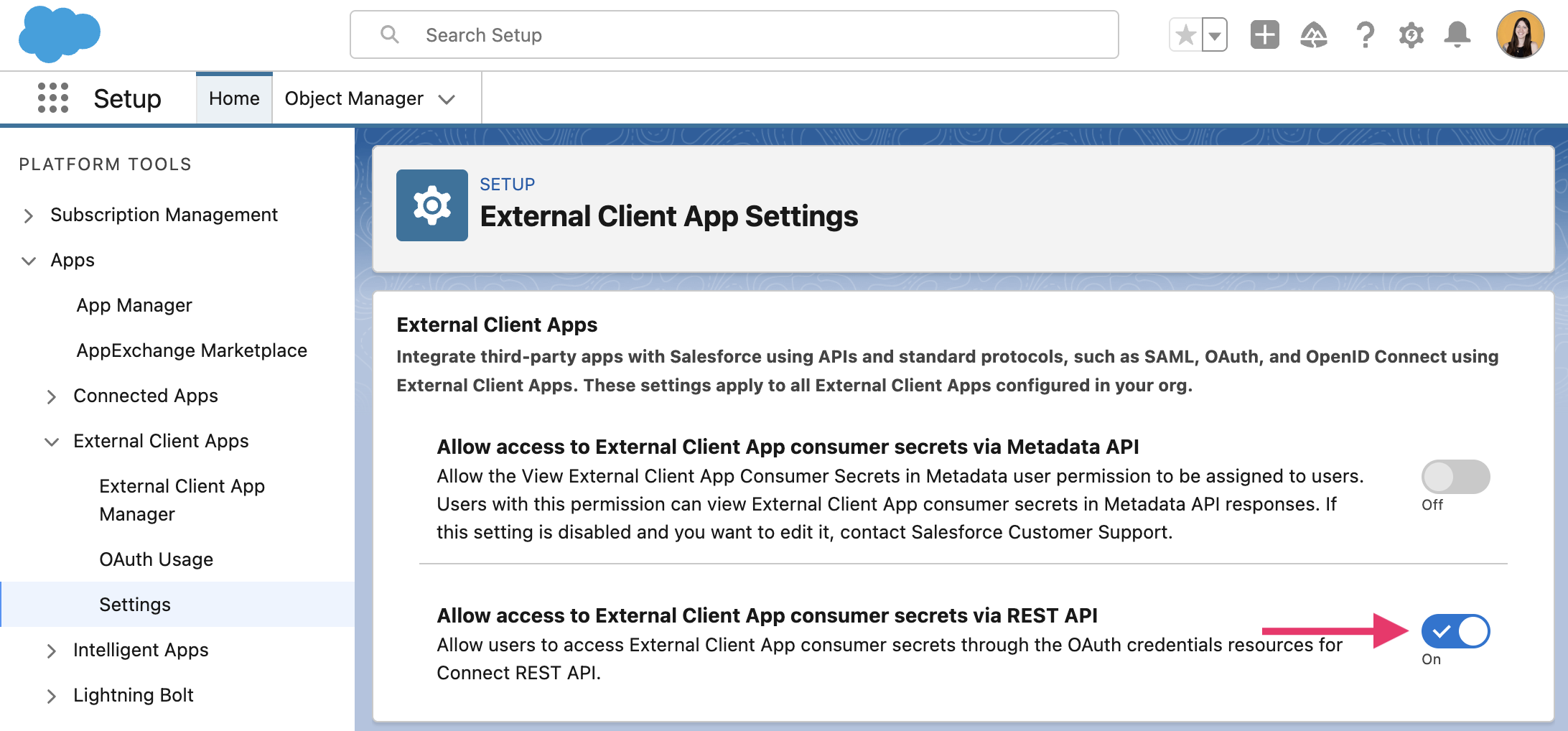 Screen of Salesforces settings