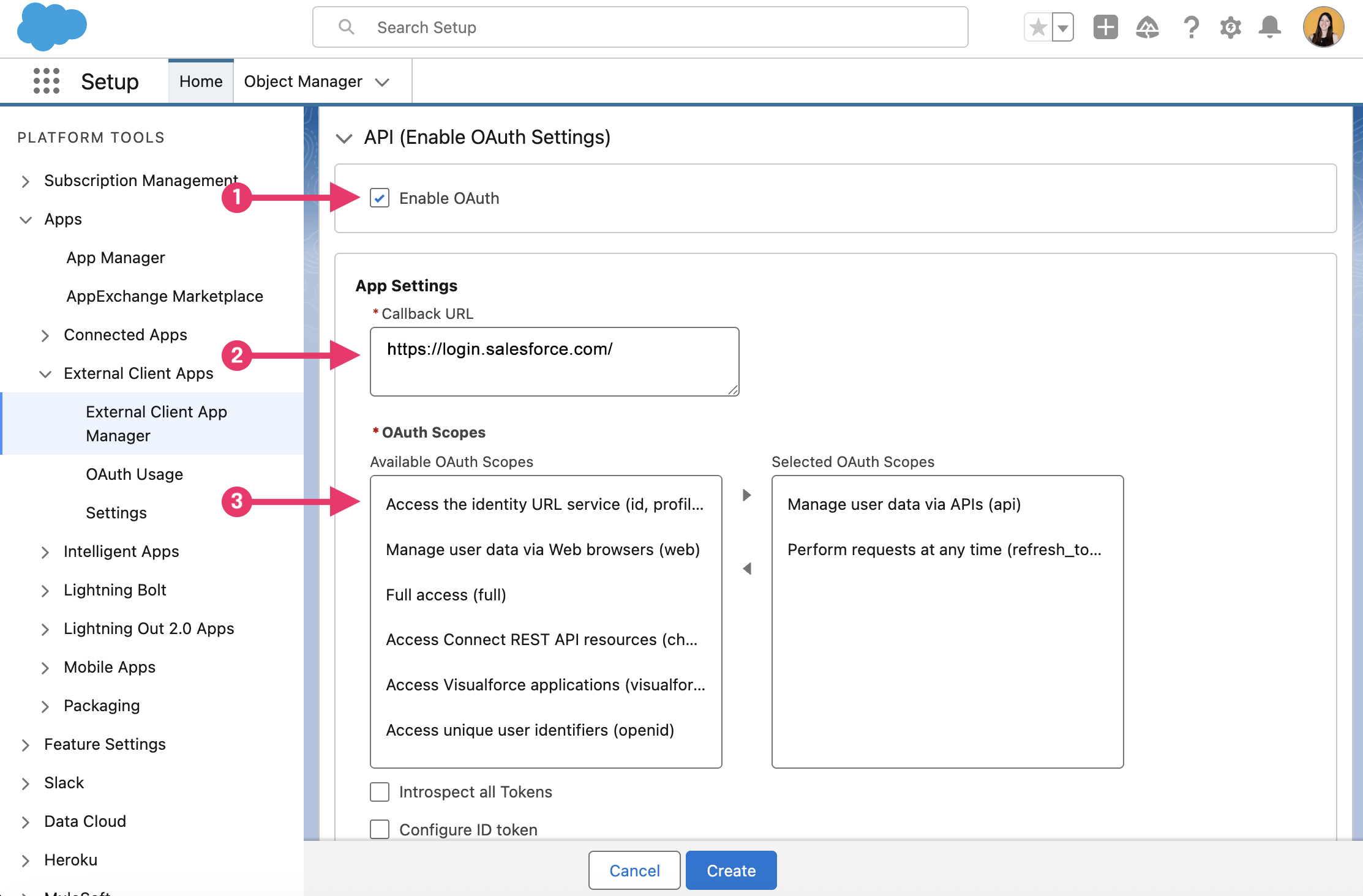 Screen of Salesforce Settings to enable API