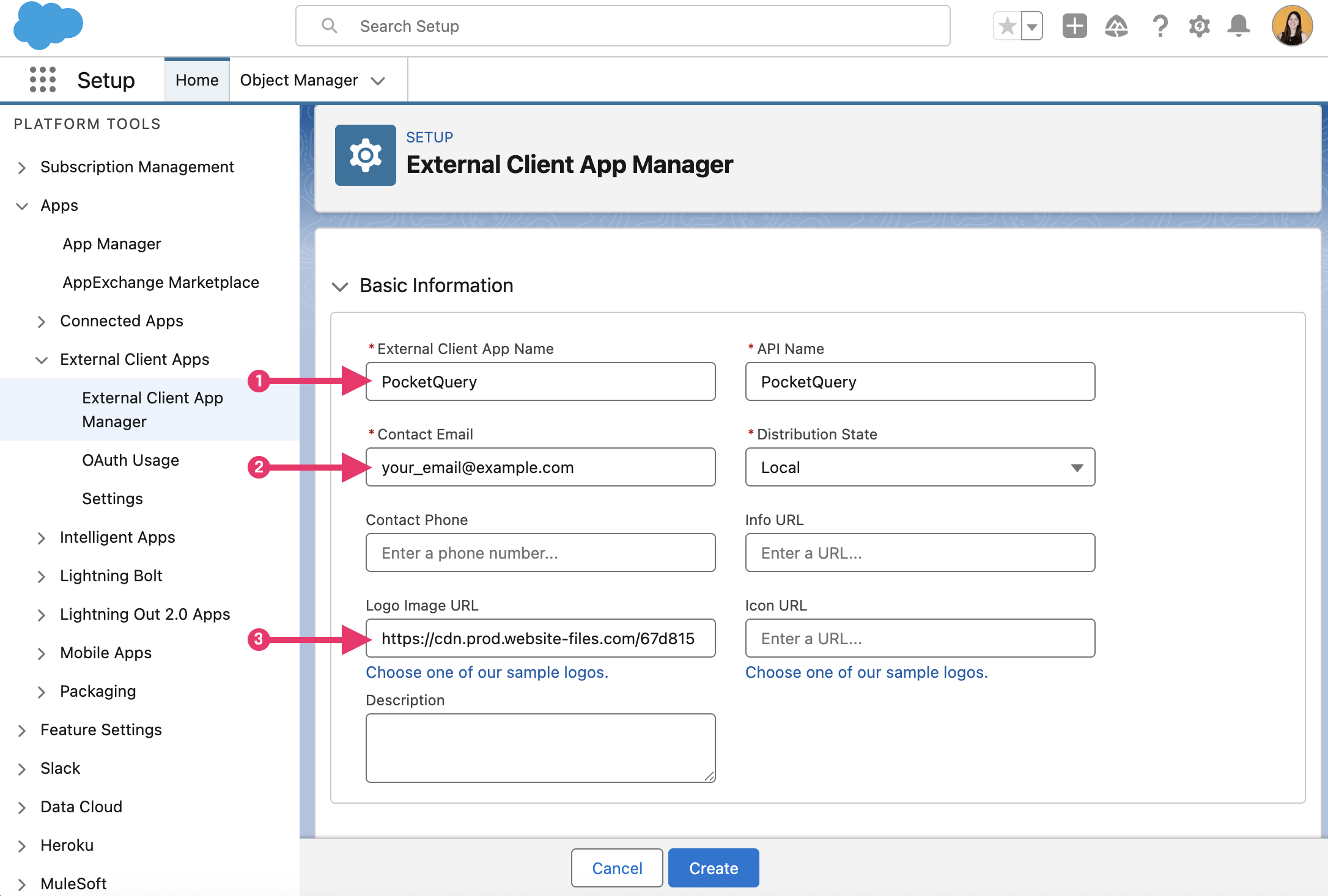 Screen of Salesforce Settings when creating a new app