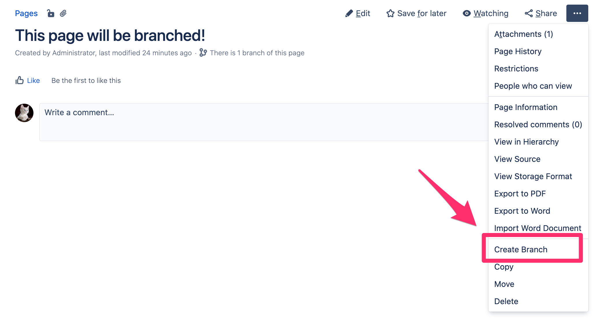create_branch.png