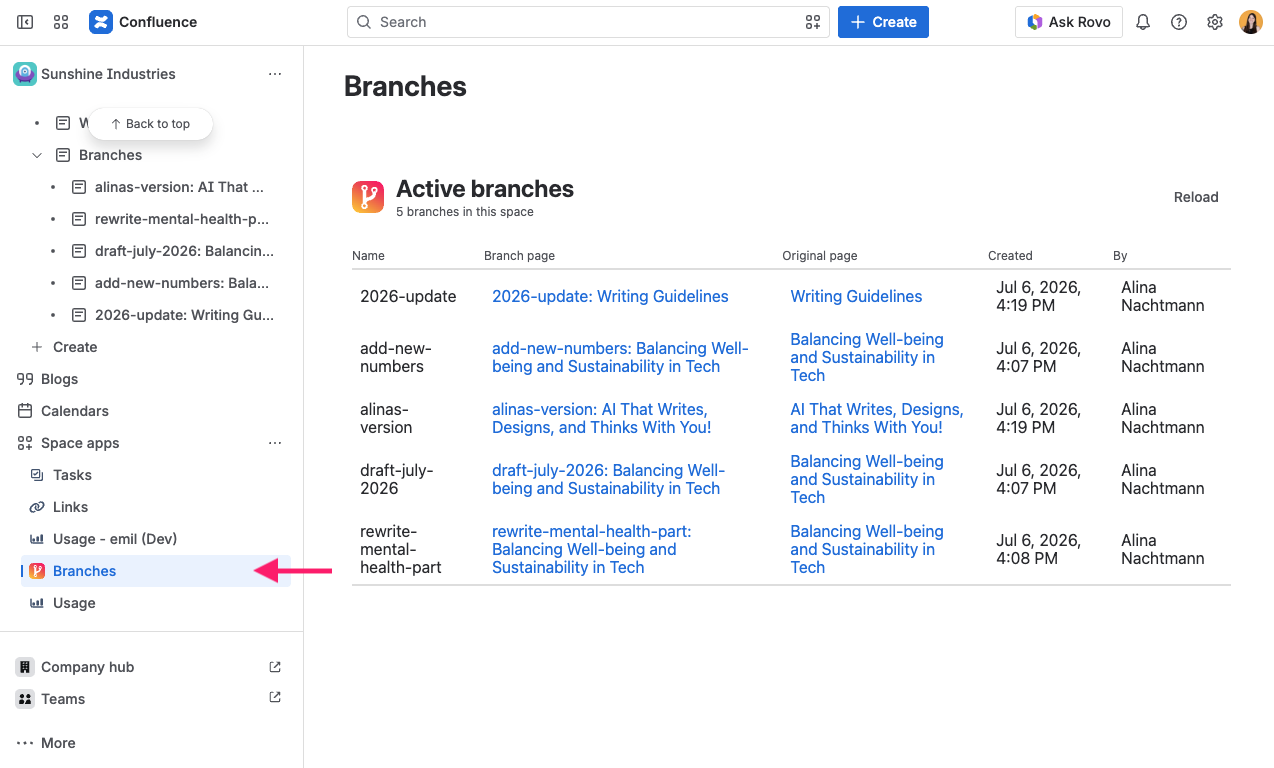 Screenshot of Branches Space Overview